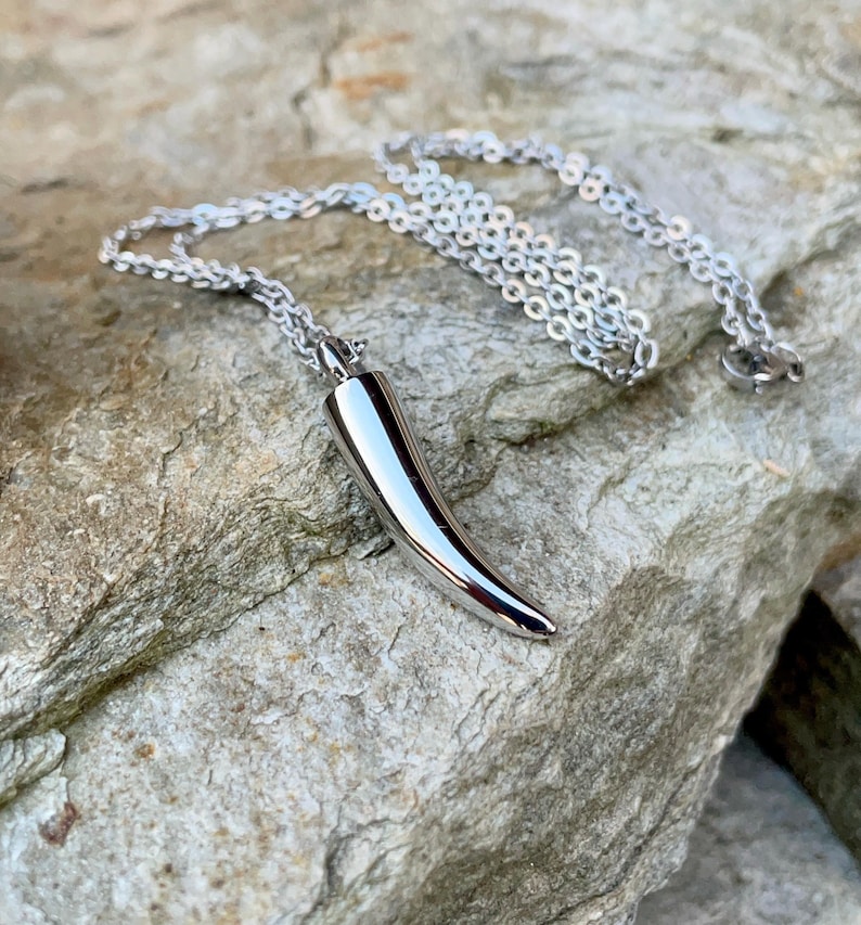 May include: A silver chain necklace with a silver horn pendant. The horn is smooth and shiny.