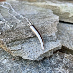 May include: A silver necklace with a horn-shaped pendant. The pendant is smooth and shiny, and the chain is delicate.