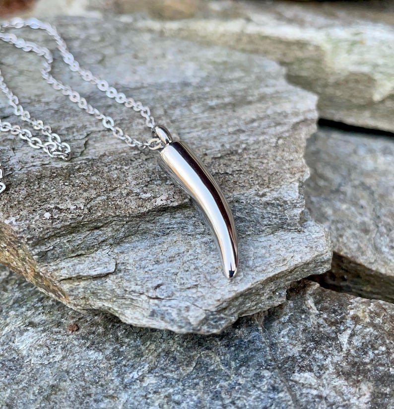May include: A silver necklace with a horn-shaped pendant. The pendant is smooth and shiny, and the chain is delicate.
