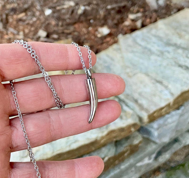 May include: A silver chain necklace with a silver pendant shaped like a tooth.