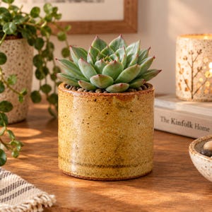 May include: A succulent plant with pointed, light green leaves featuring reddish tips, potted in a cylindrical, speckled mustard-yellow ceramic planter with a glossy finish and a dark brown rim at the base.