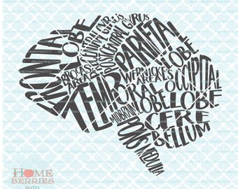 Anatomical Brain Typography svg Neuro Nurse RN svg Stroke Nursing svg Neurologist svg Gross Anatomy svg dxf eps ai cut files