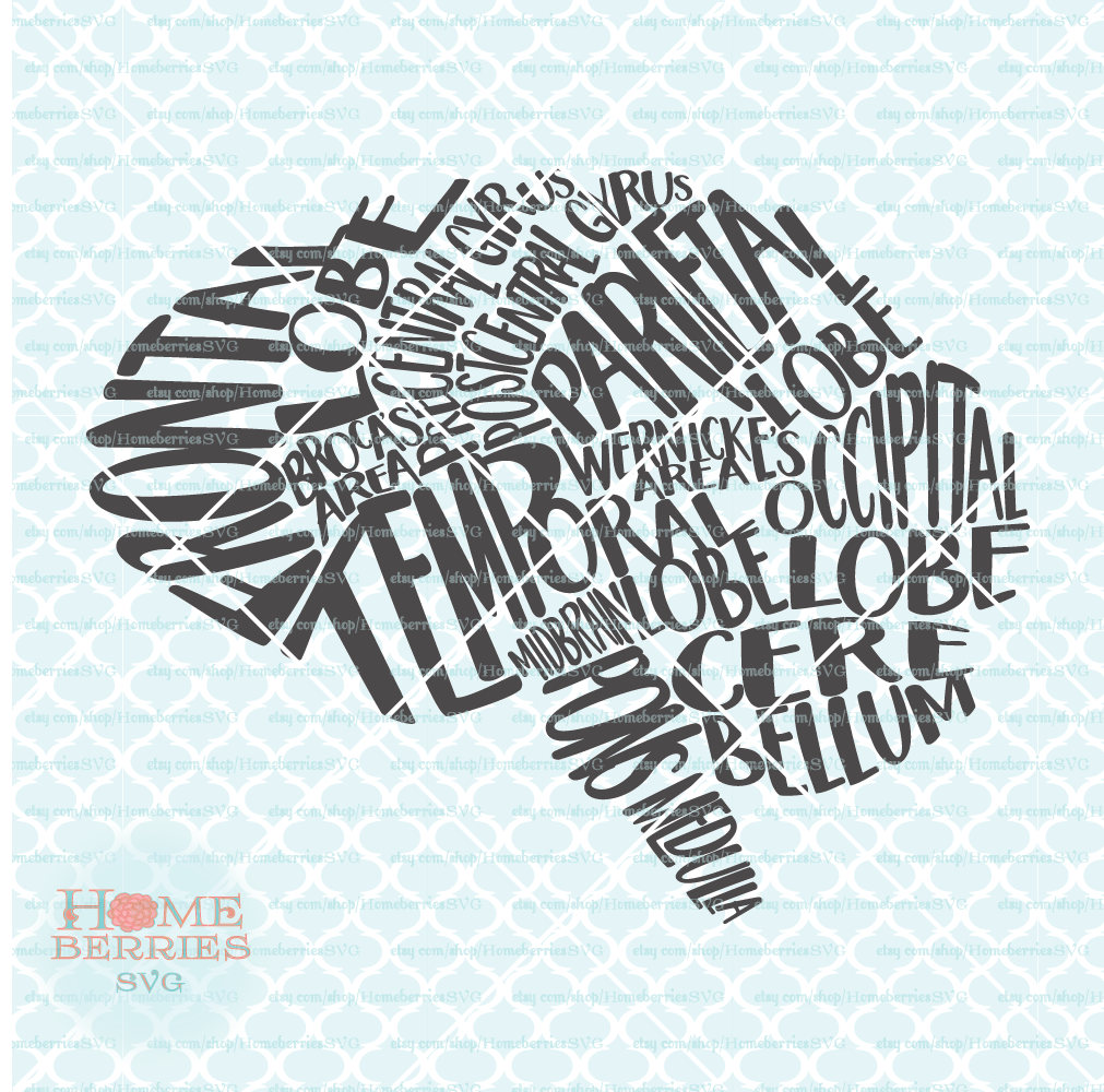 Download Anatomical Brain Typography Svg Neuro Nurse Rn Svg Stroke Etsy