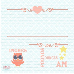 Birth Statistics Announcement Template - Owl Theme - Birth Stats - Birth Announcement svg dxf eps jpg files for Cricut Silhouette and more!