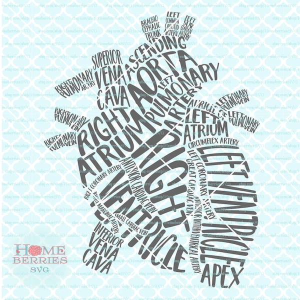 Heart Typography Gross Anatomy of the Heart RN Nurse Doctor Cardiologist svg dxf eps ai cut files for cutting machines Cricut Silhouette