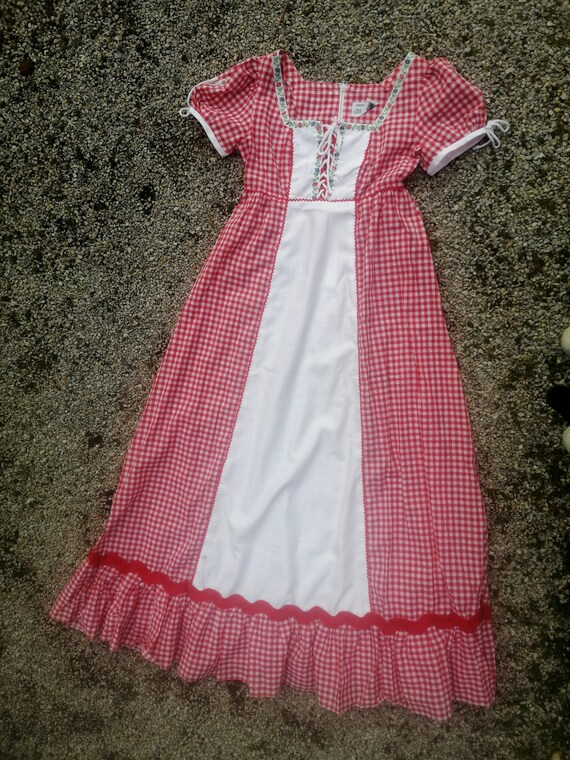 Vintage 60s 70s gingham dress