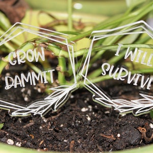 May include: Two clear acrylic plant markers with white text. The first marker says "Grow Dammit" and the second marker says "I Will Survive".