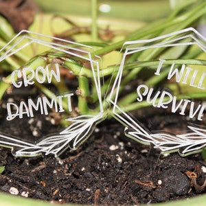 Laser Engraved Acrylic Funny Garden Markers, Thirsty Bitch, Feed Me Seymour, Please Don't Die, Succa for You, Grow Dammit, I Wet My Plants image 9