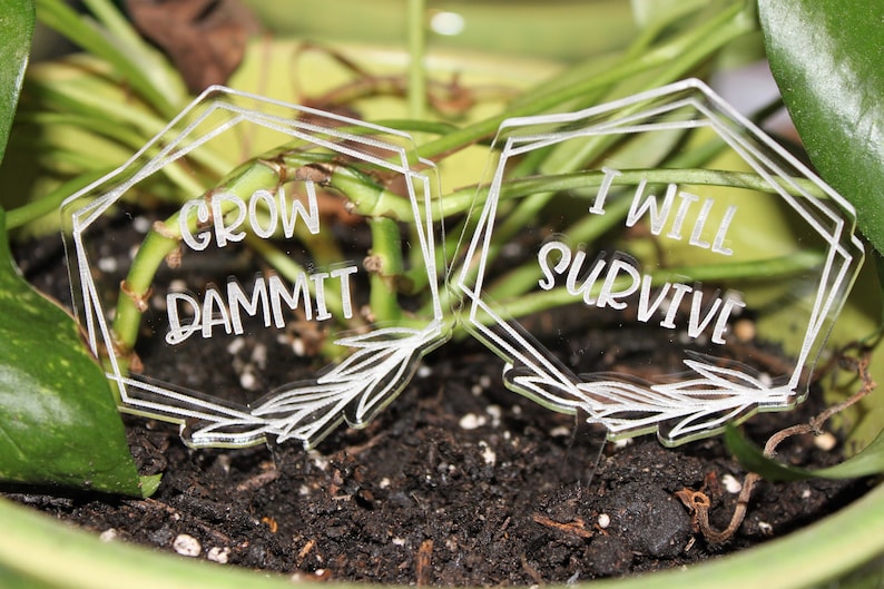 May include: Two clear acrylic plant markers with white text. The first marker says "Grow Dammit" and the second marker says "I Will Survive".