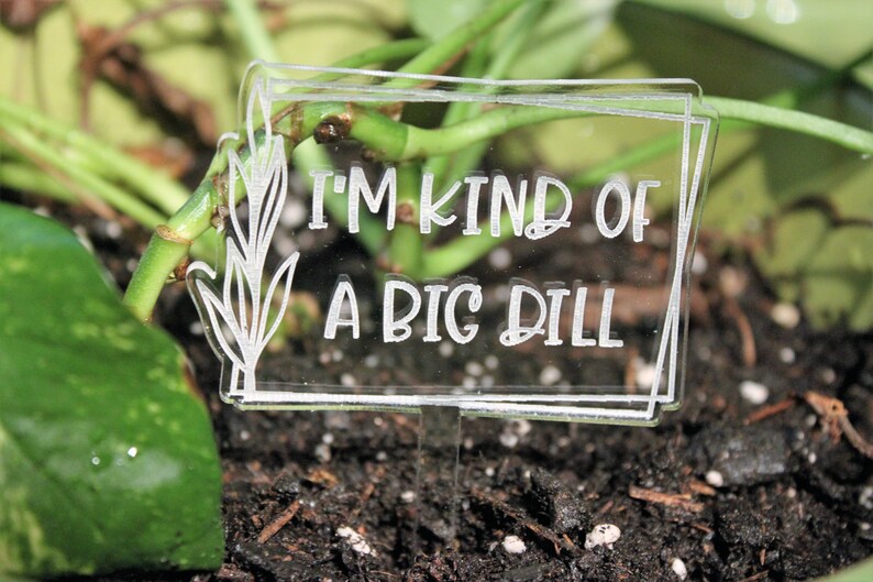 May include: A clear acrylic plant marker with the text "I'm kind of a big dill" etched in white. The marker is placed in the soil of a potted plant.