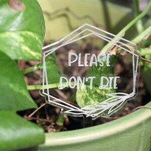 May include: A clear acrylic plant marker with the text "PLEASE DON'T DIE" in a geometric frame. The marker is in a pot with a green leafy plant.