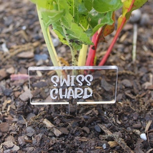 Laser Engraved Acrylic Vegetable and Fruit Garden Markers, Garden Tags, Garden Signs, Plant Markers, Plant Tags