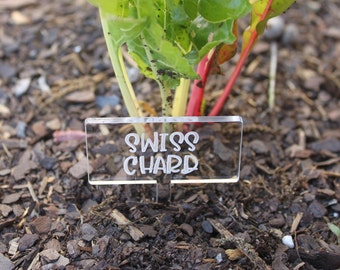 Laser Engraved Acrylic Vegetable and Fruit Garden Markers, Garden Tags, Garden Signs, Plant Markers, Plant Tags