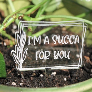 Laser Engraved Acrylic Funny Garden Markers, Thirsty Bitch, Feed Me Seymour, Please Don't Die, Succa for You, Grow Dammit, I Wet My Plants image 6