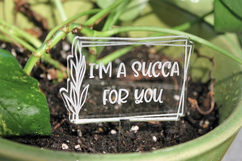 Laser Engraved Acrylic Funny Garden Markers, Thirsty Bitch, Feed Me Seymour, Please Don't Die, Succa for You, Grow Dammit, I Wet My Plants image 6