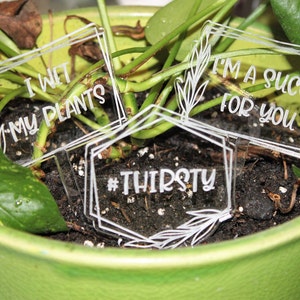 Laser Engraved Acrylic Funny Garden Markers, Thirsty Bitch, Feed Me Seymour, Please Don't Die, Succa for You, Grow Dammit, I Wet My Plants image 2