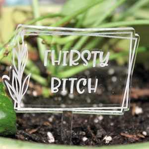 May include: A clear acrylic plant marker with the text "THIRSTY BITCH" etched in white. The marker is in the shape of a rectangle with rounded corners and has a small, clear plastic stake.