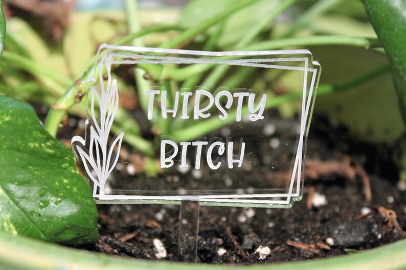 May include: A clear acrylic plant marker with the text "THIRSTY BITCH" etched in white. The marker is in the shape of a rectangle with rounded corners and has a small, clear plastic stake.