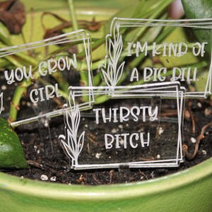 May include: Three clear acrylic plant markers with humorous sayings. The markers read "You Grow Girl", "I'm Kind of a Big Dill", and "Thirsty Bitch".