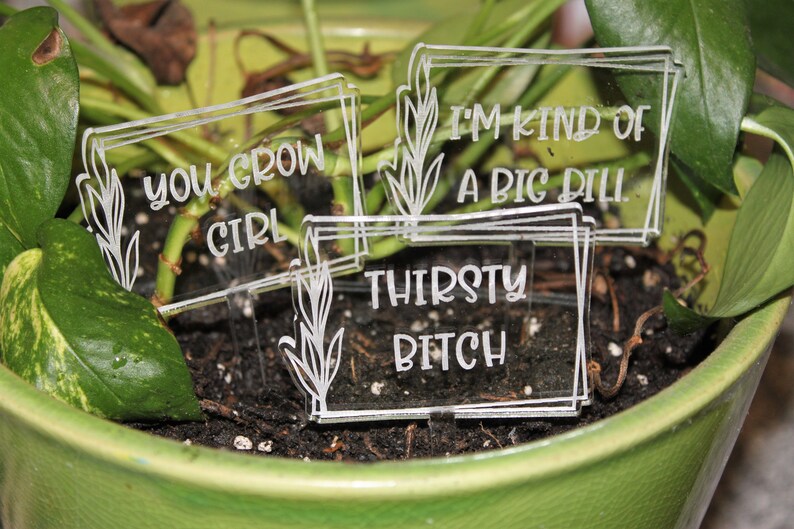 May include: Three clear acrylic plant markers with humorous sayings. The markers read "You Grow Girl", "I'm Kind of a Big Dill", and "Thirsty Bitch".