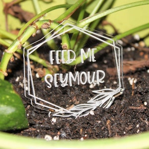 Laser Engraved Acrylic Funny Garden Markers, Thirsty Bitch, Feed Me Seymour, Please Don't Die, Succa for You, Grow Dammit, I Wet My Plants image 8