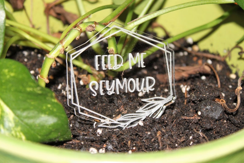 Laser Engraved Acrylic Funny Garden Markers, Thirsty Bitch, Feed Me Seymour, Please Don't Die, Succa for You, Grow Dammit, I Wet My Plants image 8