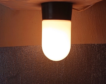 Gispen, Bauhaus, Amsterdam School, Art Deco style flush mount ceiling light fixture. Oval shape opaline glass; dark brown bakelite base.