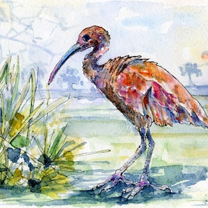 Bird Clipart, Bird Watercolor, Bird Vector, Ibis, Clipart, Watercolor Clipart, Instant Download, Digital Clipart, Scarlet Ibis, Scrapbooking