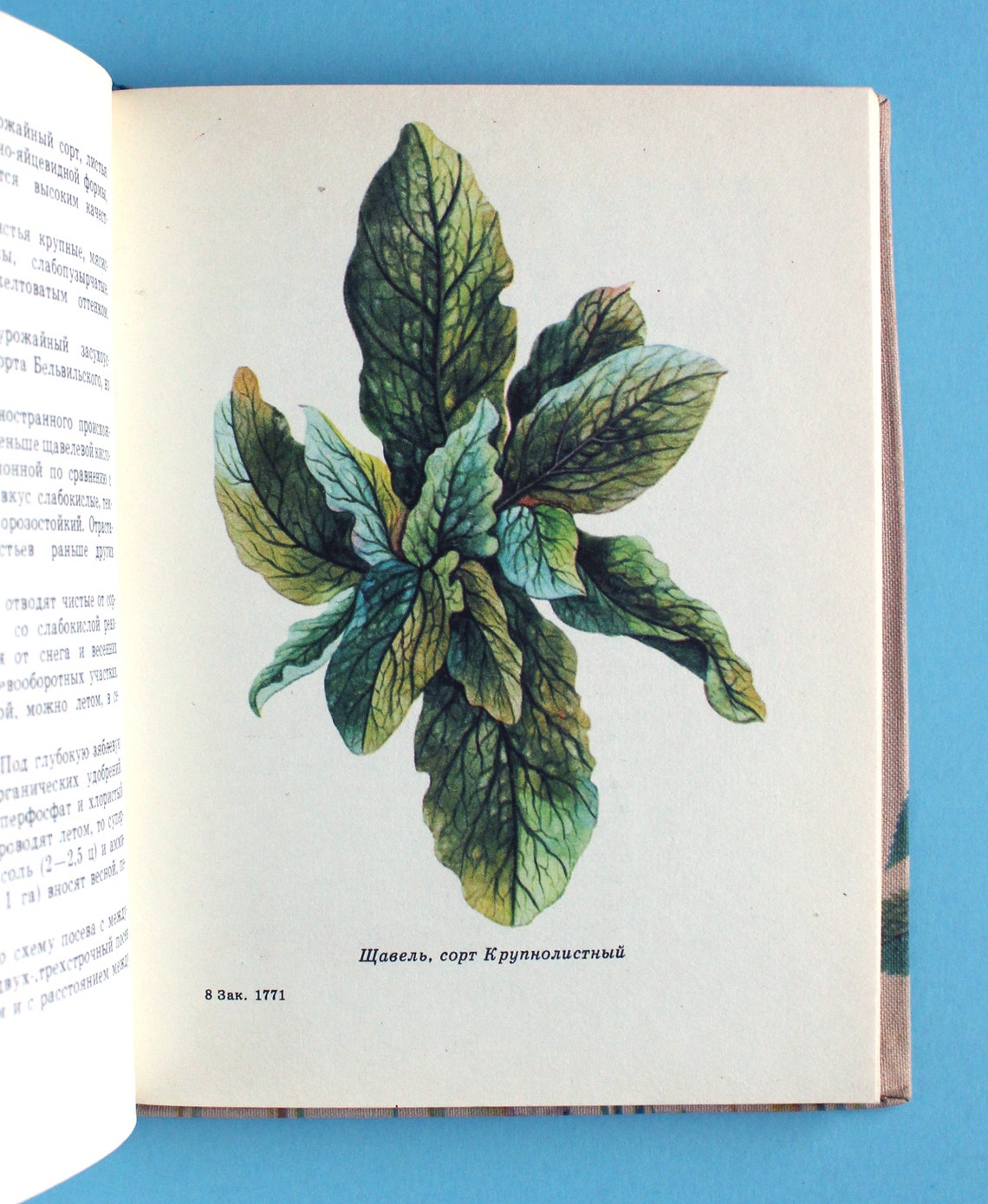 Vintage illustrated edible plant and spice book in Russian