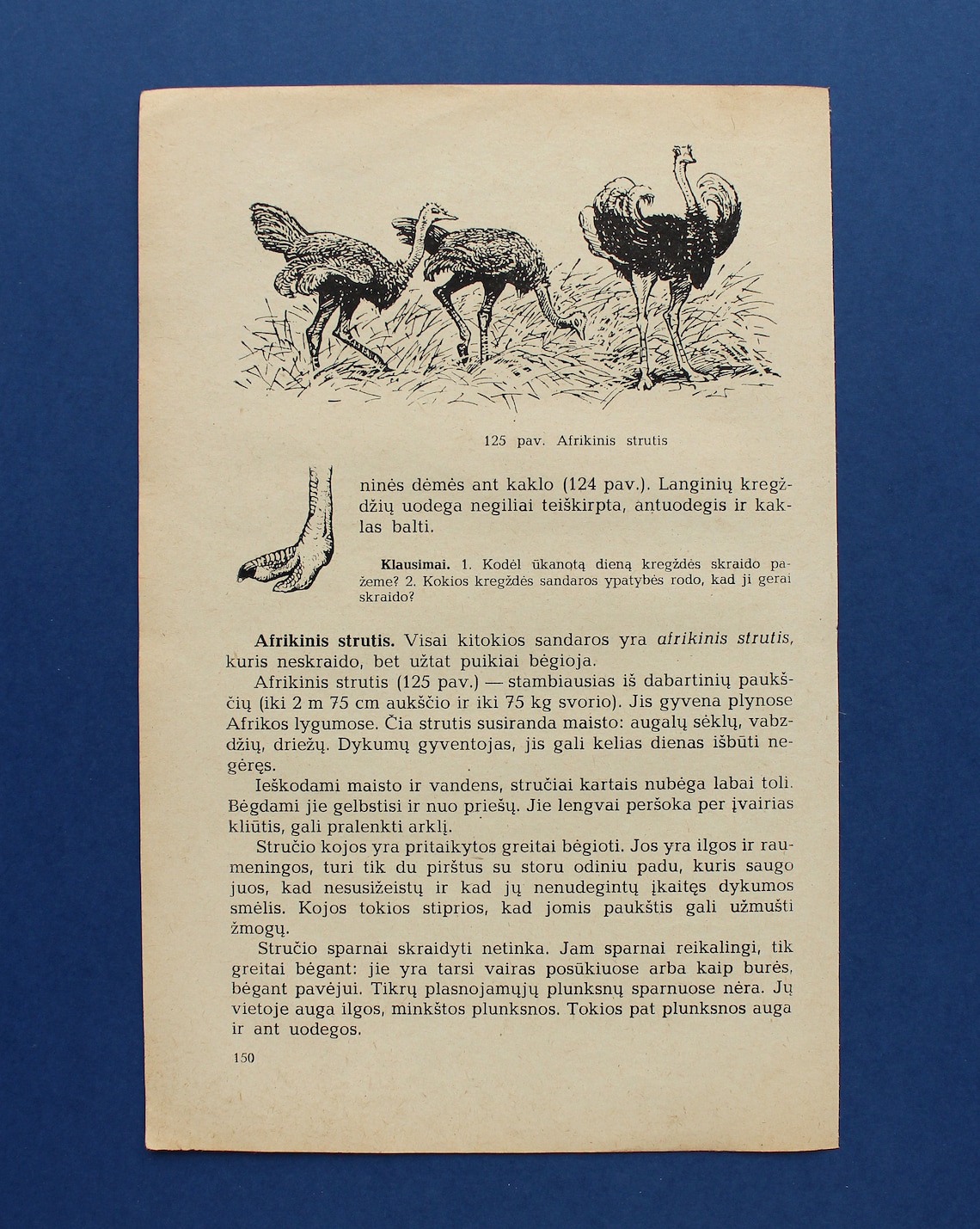 What does a zoologist do picture