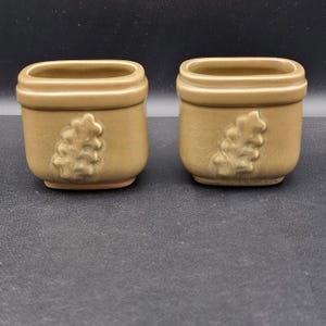 以下が含まれることがあります： 長方形の形をした、前面に装飾的な木の模様がある、2つの小さなタン色のセラミックポット。 ポットは滑らかで丸みを帯びた縁と、わずかにテクスチャ加工された表面を持っています。