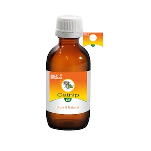 May include: A brown glass bottle with a white cap, labeled "SSCB Botanicals Catnip Oil Pure & Natural". The label has a yellow background with a green border and a small image of catnip flowers.