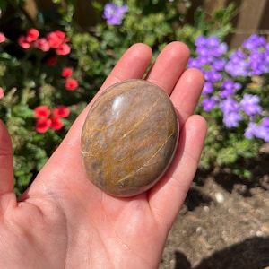 Black Moonstone Palm Stone