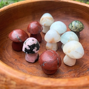 Large Pocket Crystal Mushrooms * Caribbean Calcite  * Red Jasper * Rhodonite