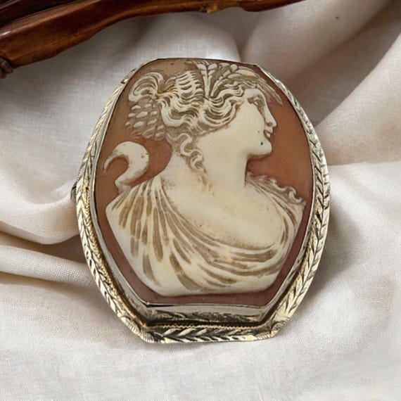 Vintage 14 Kt. Carved Shell Cameo Brooch Pin With Carved Woman Portrait In Elaborate Frame