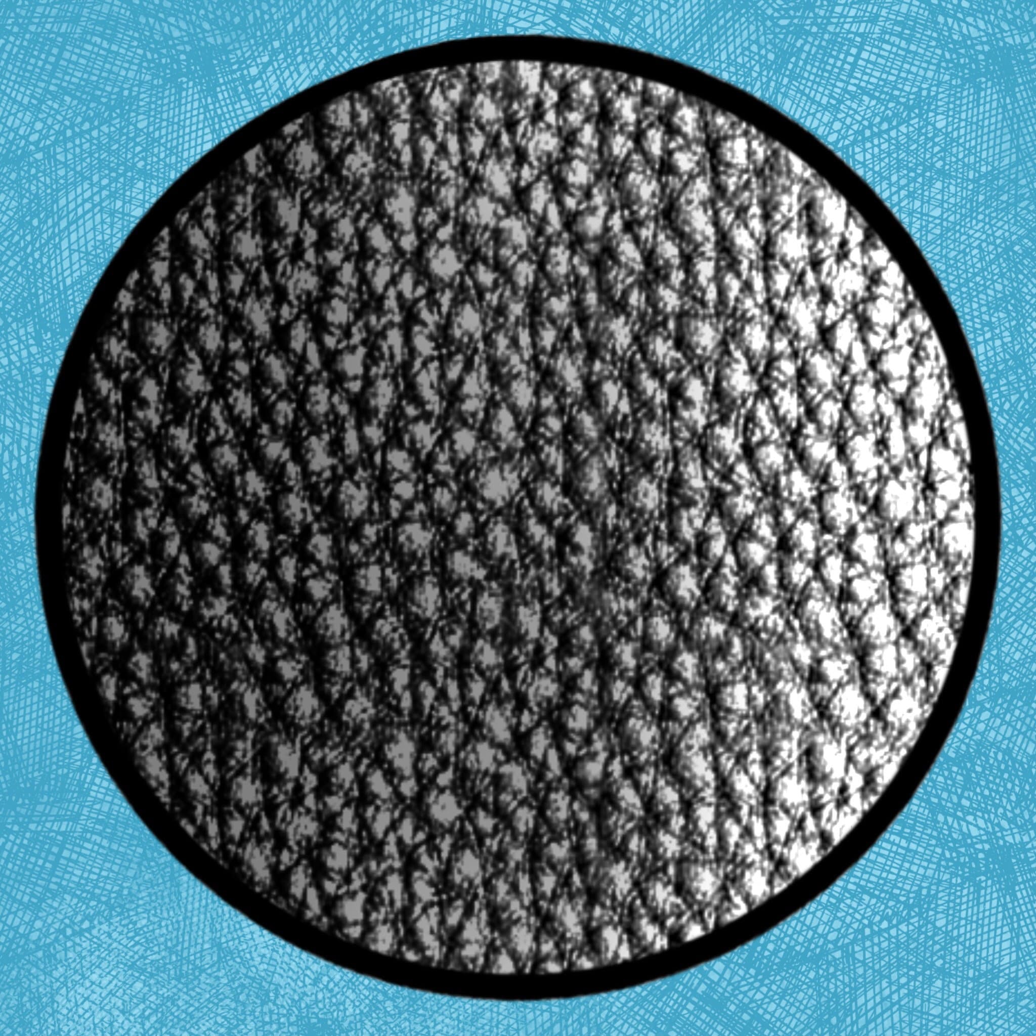 Dog Nose Texture