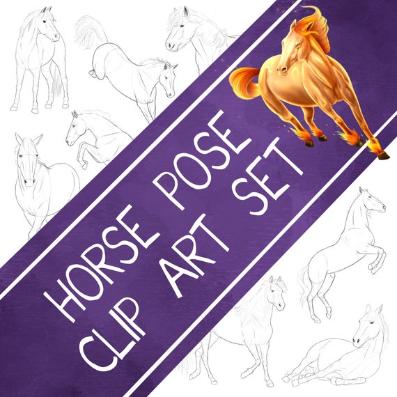 Horse Pose Sketch Clip Art Set