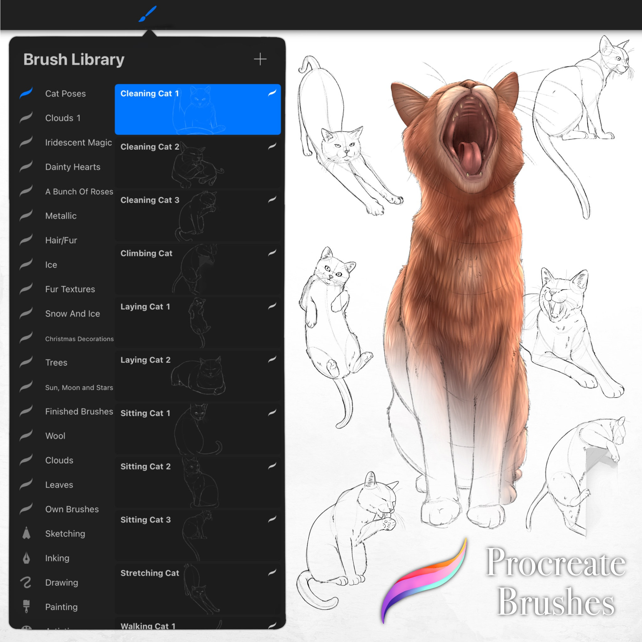 Cat Pose Sketch Stamps for Procreate
