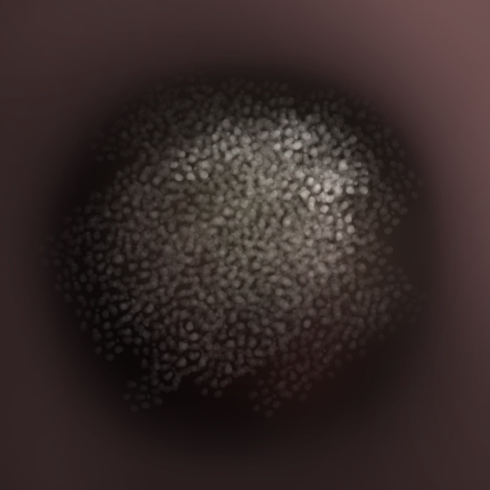 Dog Nose Textures and Stamps for Procreate