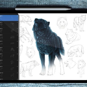 Wolf Pose Sketch Stamps for Procreate