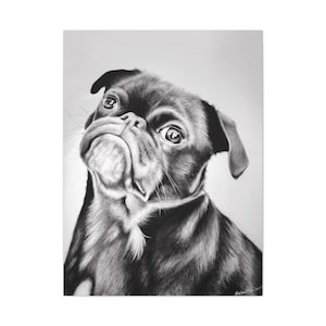 Not for sale!*** Reference Only Black Pug Dog - Original drawing by Lia Lane (Prescott)