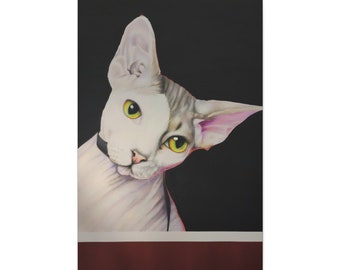 Könnte beinhalten: Eine weiße und graue haarlose Katze mit grünen Augen, die nach rechts schaut, vor einem schwarzen Hintergrund. Die Katze trägt ein schwarzes Halsband.
