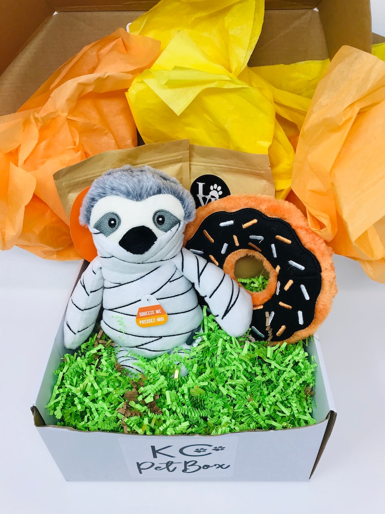 Halloween Dog Gift Box