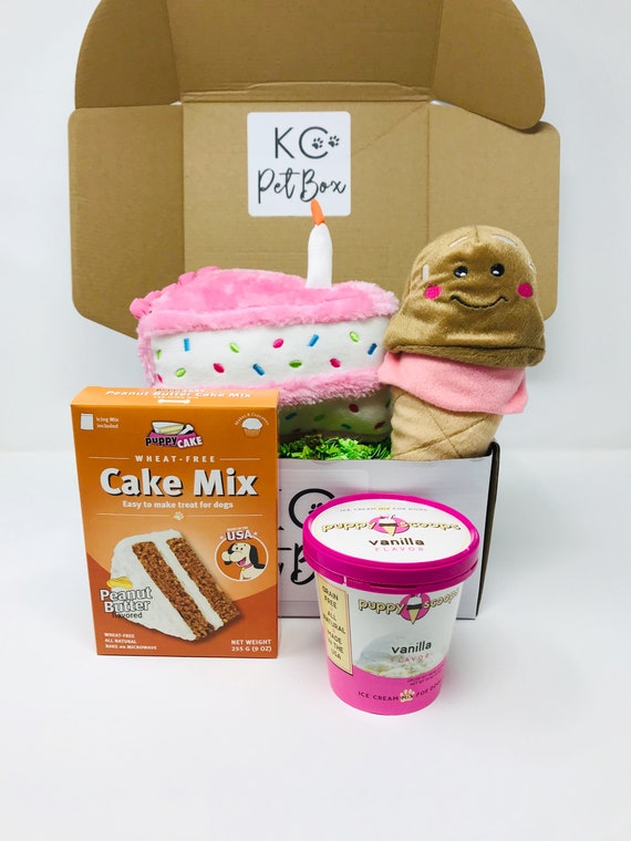 birthday box dog