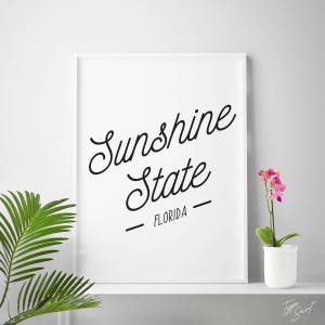 以下が含まれることがあります： 白い額縁に入ったプリントで、黒い文字で「Sunshine State - Florida」と書かれています。プリントの右側に、白い鉢に入ったピンクの蘭の植物があります。