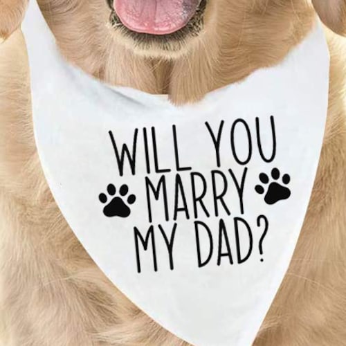 Hundehalstuch Verlobungsankündigung - She Said YES Set