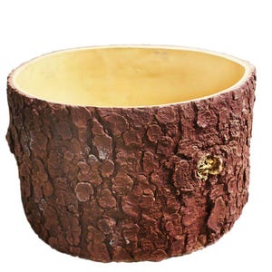 May include: A brown, round planter shaped like a tree trunk with a light brown interior. The planter is made of a textured material that resembles bark.