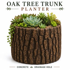 Oak Tree Trunk Concrete Planter | Rustic Succulent Pot with Drainage Hole