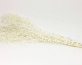 Dried Babys Breath (Dried Gypsophila) Natural Bleached White Color