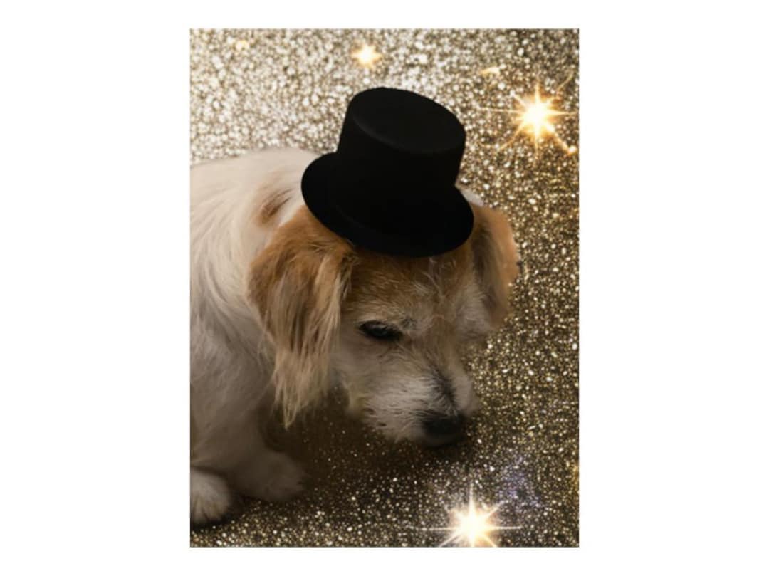 Mini Black Top Hat: Craft Party Decoration (2-8 Inch)